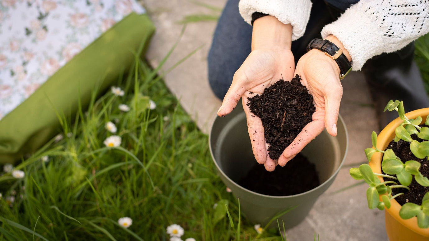 New Year, Better Compost: Hacks for 2026