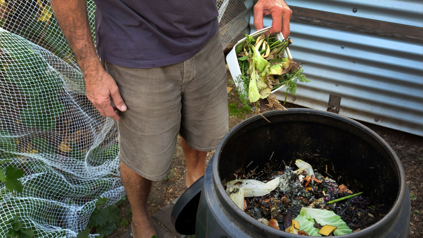 Do Automatic Composters Reduce Waste Enough to Make a Difference? Let’s Do the Math
