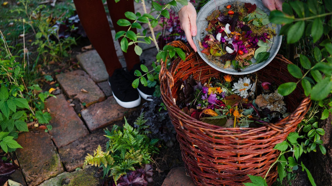 5 Composting Tips for the Summer