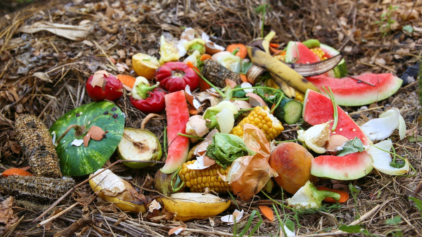 Assessing Your Kitchen’s Sustainability