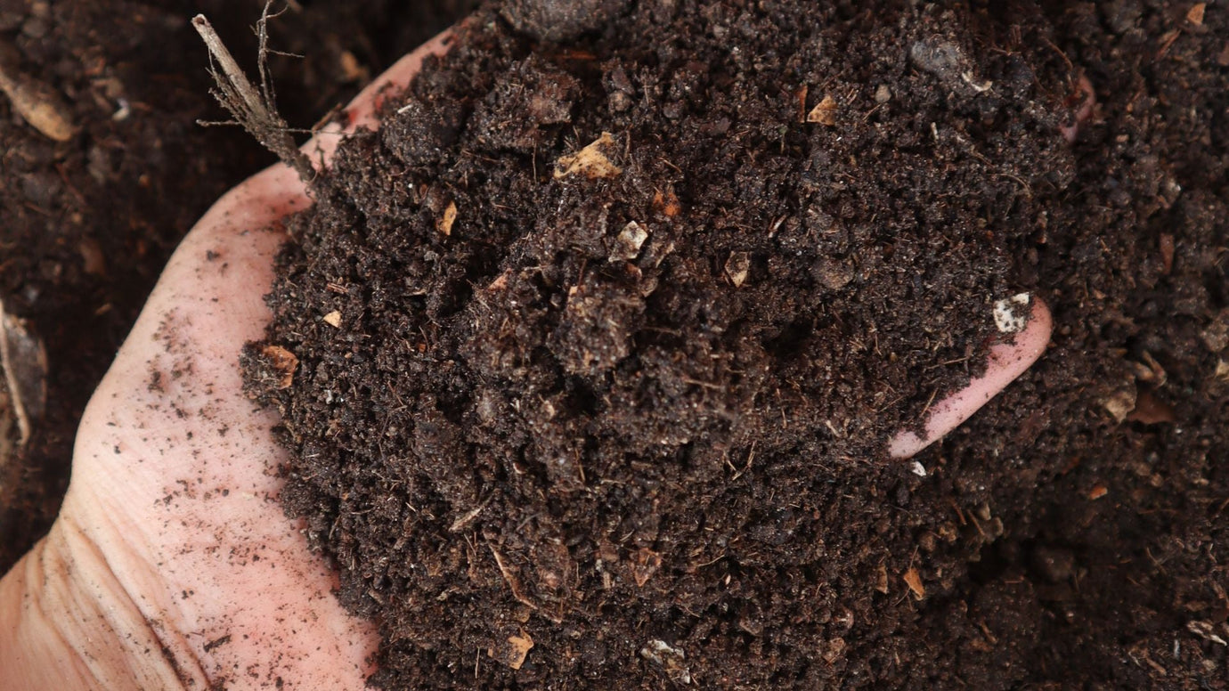 The Real Difference Between Dehydrated Scraps and Compost, And Why It Matters