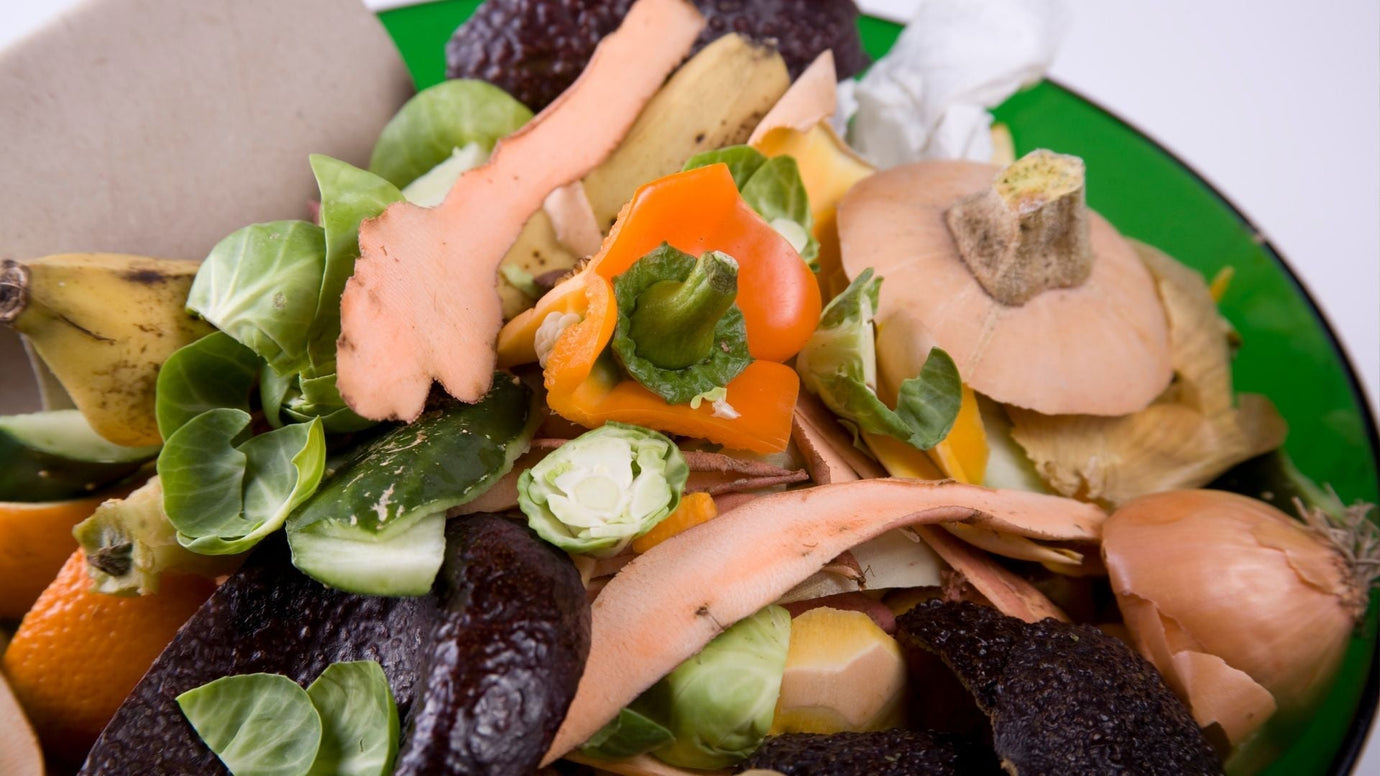 10 Common Indoor Composting Mistakes and How to Avoid Them