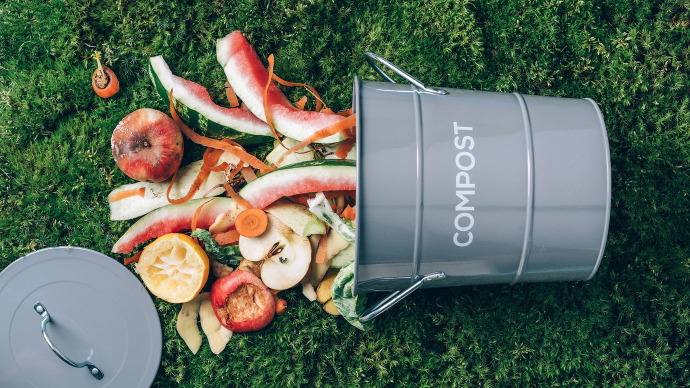 Spring into Composting This Season: Alternative Tactics