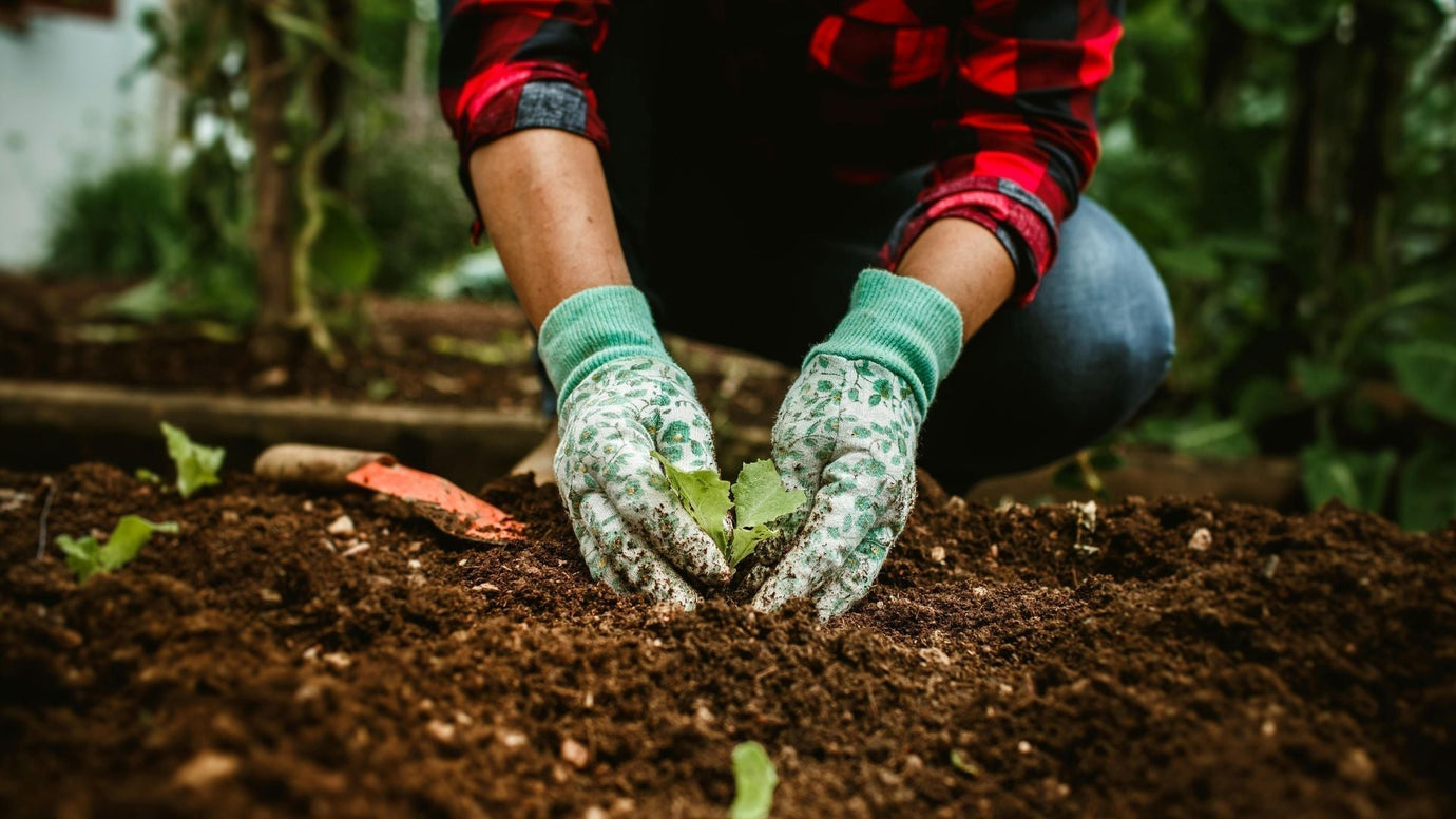 How to Start Outdoor Composting in 2026