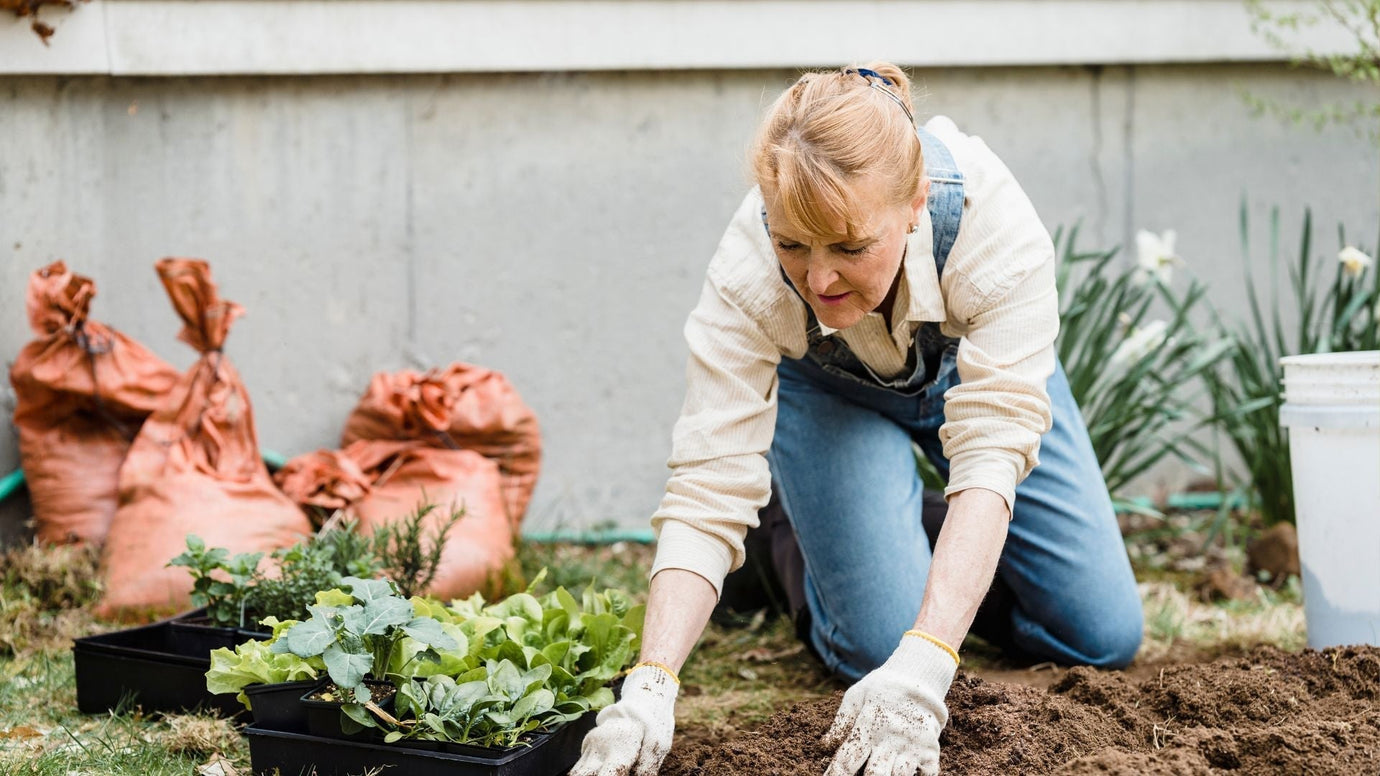 What Can I Do With Compost if I Don’t Have a Garden? 6 Real Uses for Apartment Dwellers