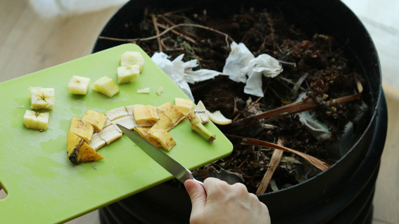 6 Kitchen Composting Tips for Beginners