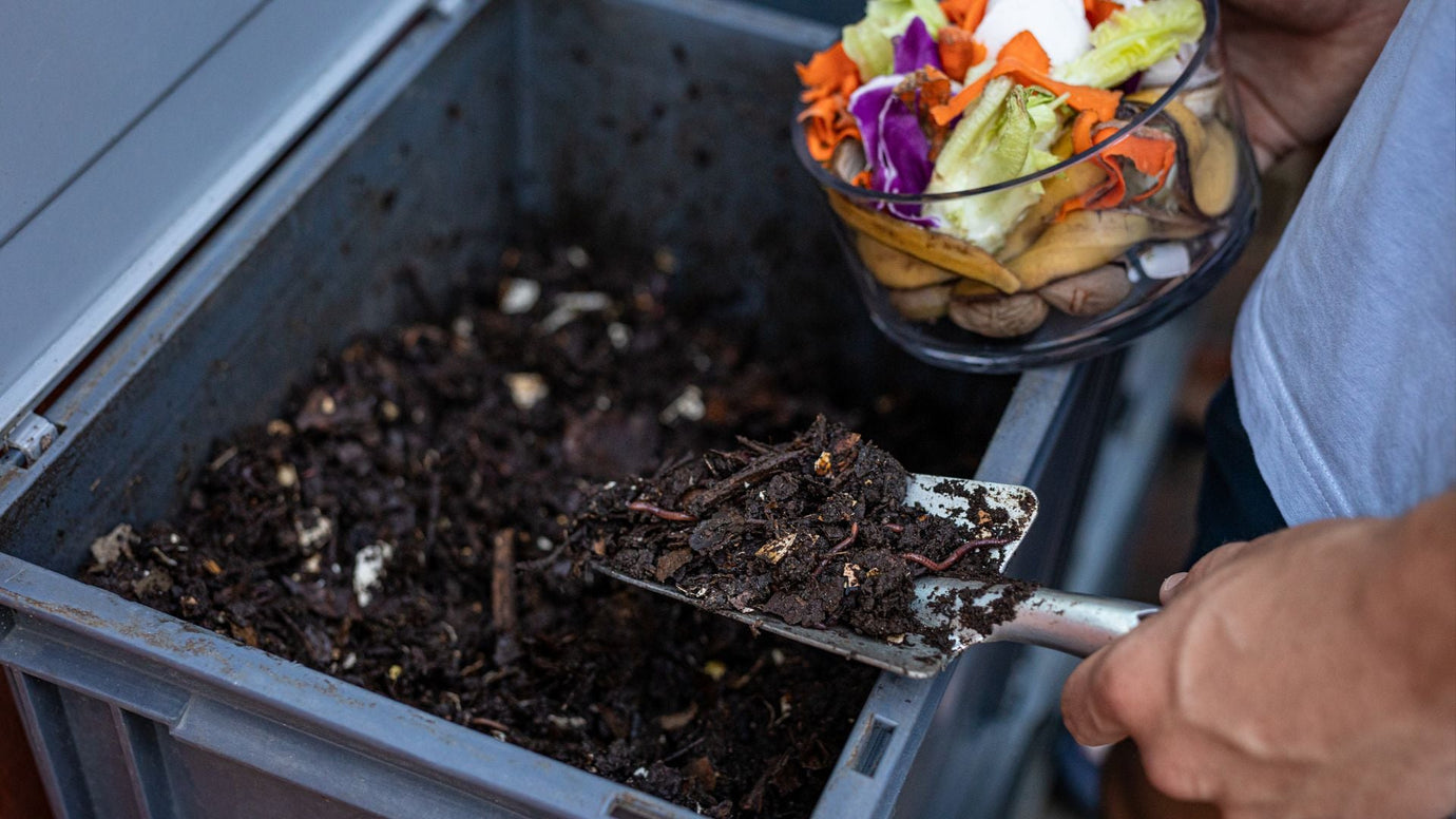 Is Your Kitchen Appliance Really Making Compost or Just Drying Waste?