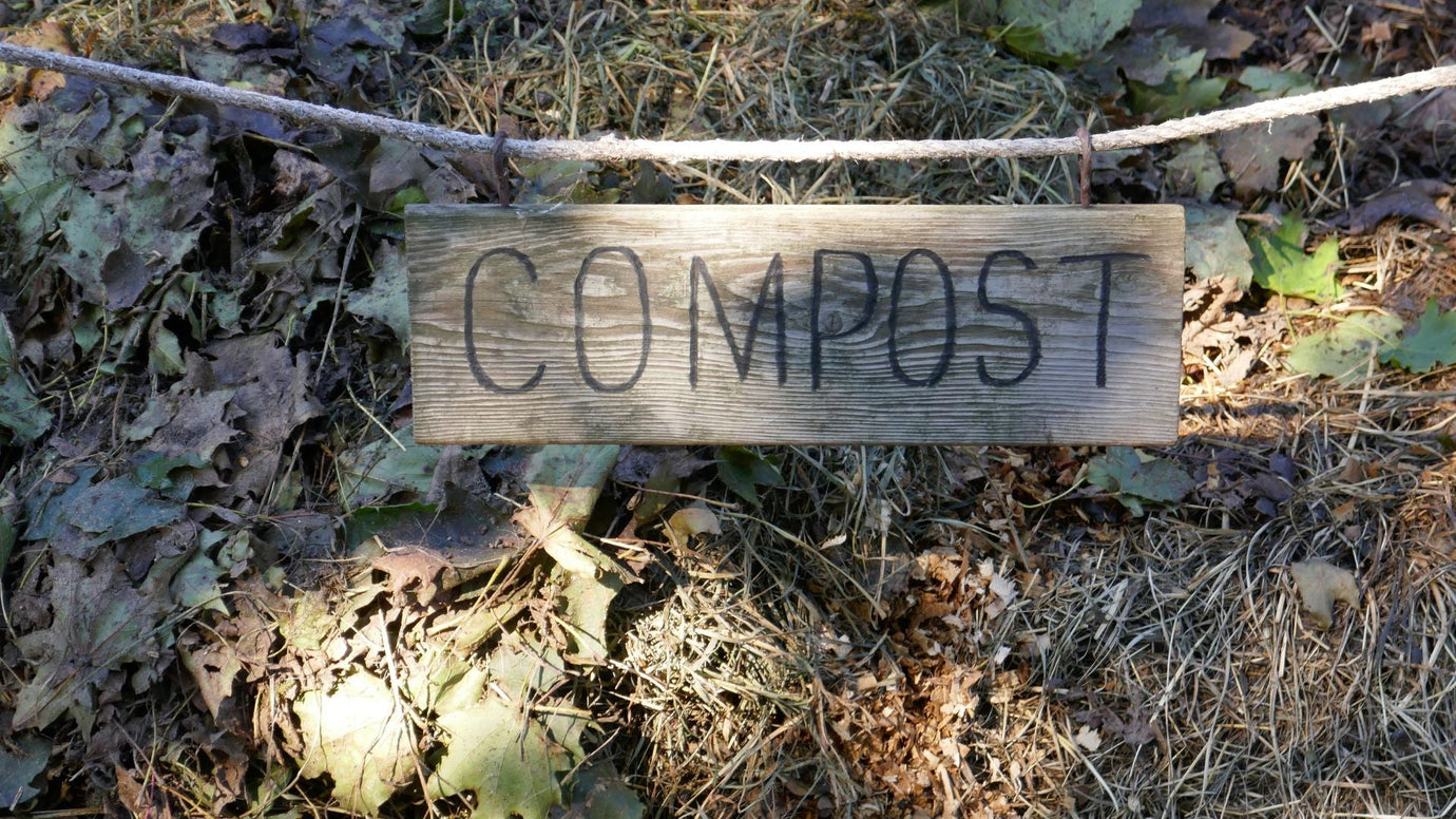 7 Kitchen Composting Tips for Spring