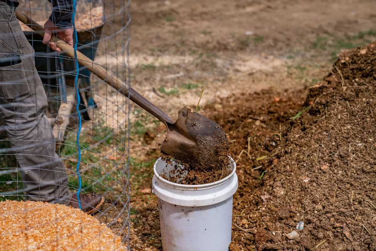 So You’ve Got Some Compost？Now What?