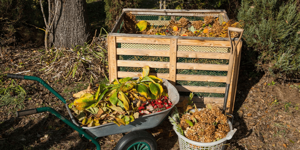 Household Items You Can Compost