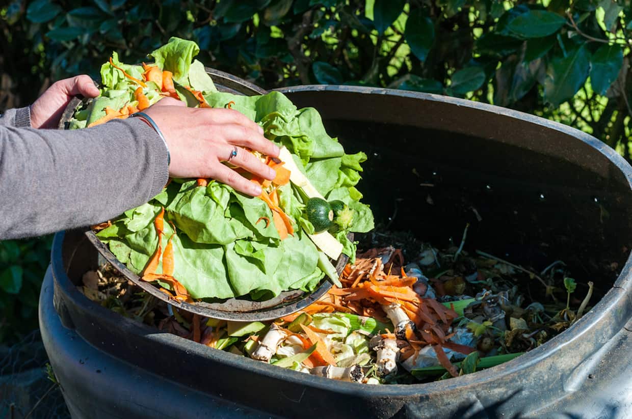 Late Season Composting Tips for Winter