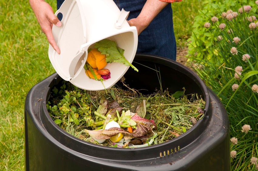 Composting Tips for Fall: Turn Leaves into Gardening Gold