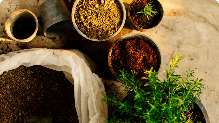Nourishing Your Garden: A Guide to Soil Amendments